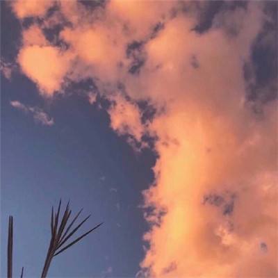 新王者霸业手游下载